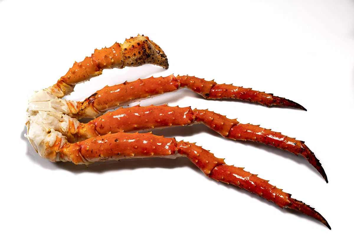 Sepehr Dad Königskrabbe Beine mit Schere Cluster Norwegen Gekocht Servierfertig