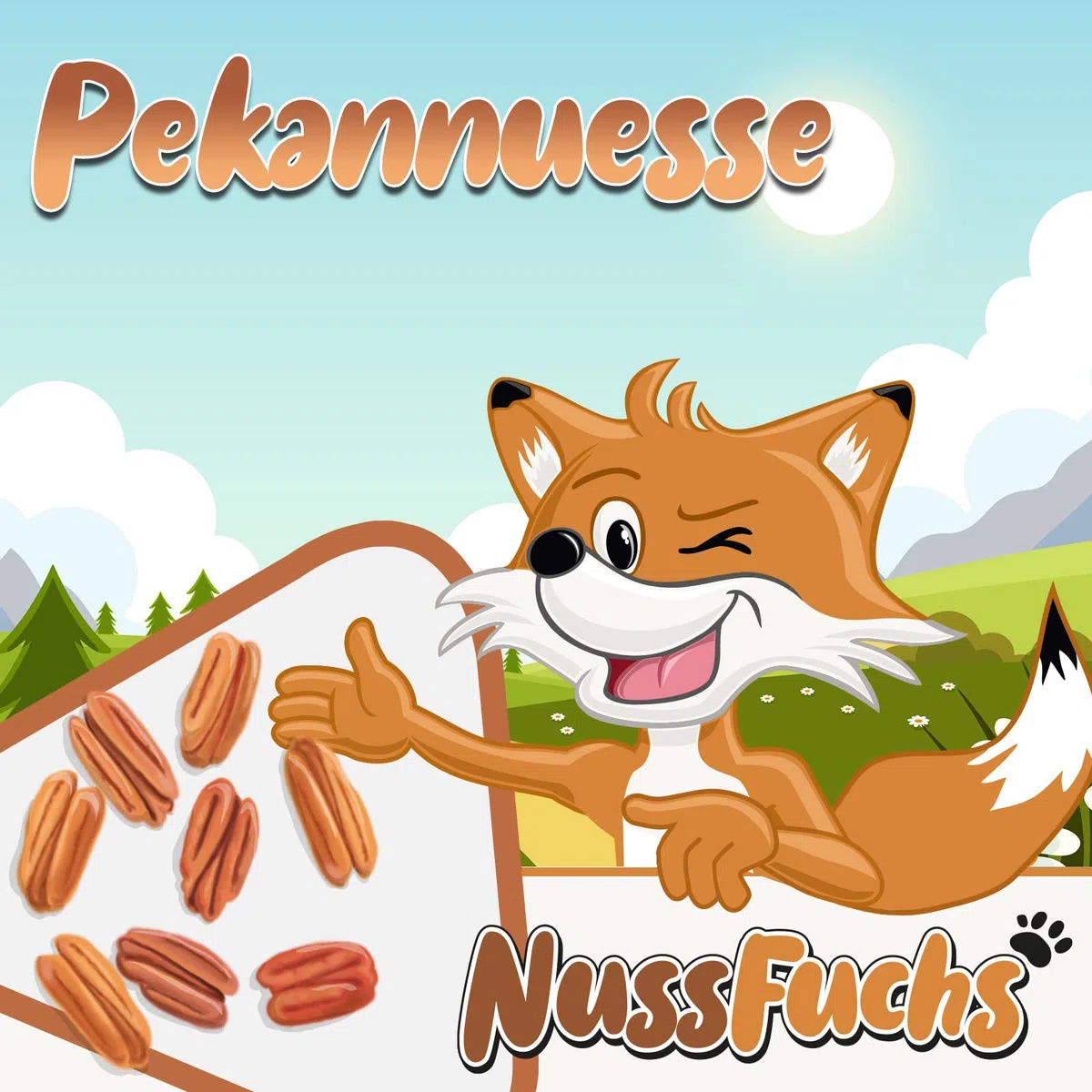 Pekannuss Pecanuss 2,5kg ganze Pekannusskerne roh ohne Schale - naturbelassen ungeröstet ungesalzen - ganze Pekannuss Kerne Hälften naturbelassen ohne Zusätze ungeschwefelt - (2,5kg)