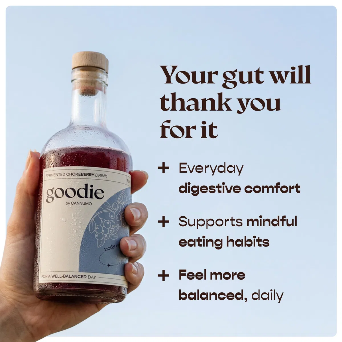 Goodie Fermented Superfood Drink - Probiotisches Wellnessgetränk, 500ml Flasche, Darmgesundheit, antioxidantienreich, vegan, natürliche Inhaltsstoffe, verschiedene Geschmacksrichtungen (500ml,
