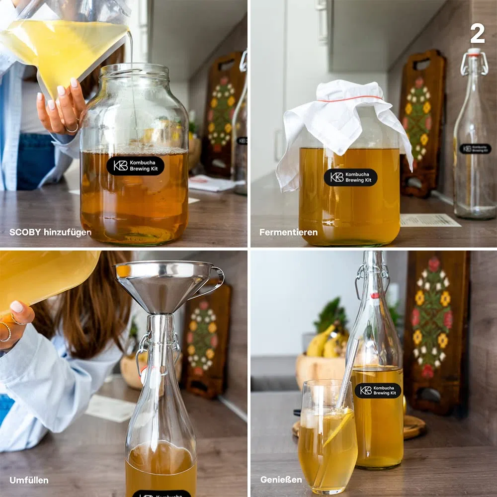 Kombucha Brewing Kit Bio, Kombucha Starter Set mit Bio-SCOBY Starterkultur und Kombucha Pilz, Gärgefäß, Bügelflasche, BioRohrohrzucker und Glasstrohhalm, handgefertigt, vegan, glutenfrei, laktosefrei