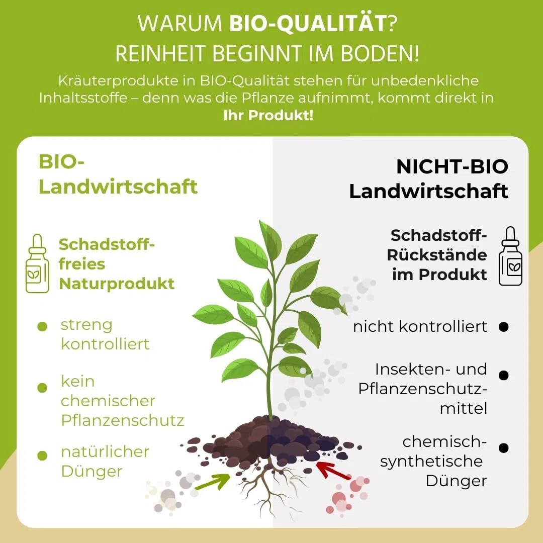 Auwald Koriander Tropfen BIO 100ml – Hochwertiger Auszug, Extrakt, Essenz & Tinktur – 100% BIO Landwirtschaft, Hergestellt in Österreich