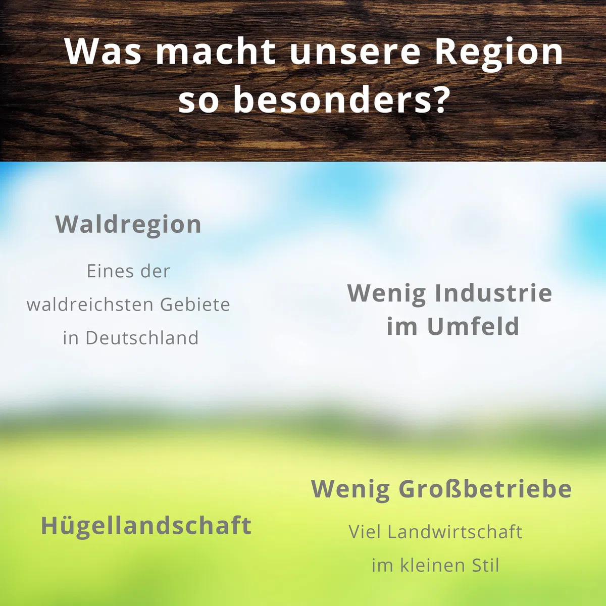 Landmetzgerei Schiessl Bayerisches Probier-Packerl 1 kg Hausmacher Wurst Leberkäse Schinken Salami Glutenfrei laktosefrei Geschenkset