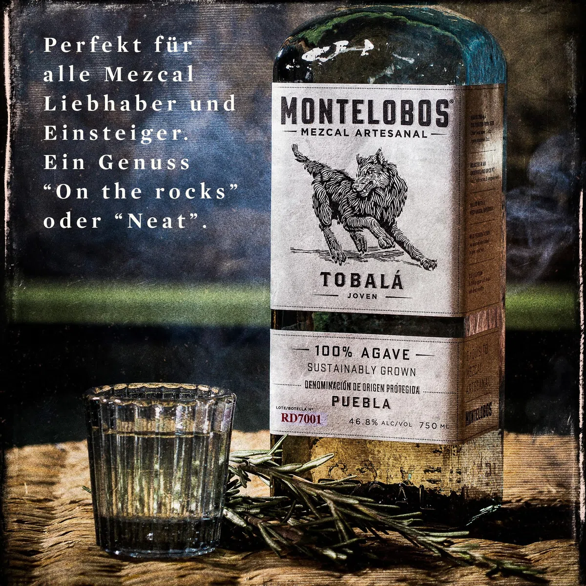 Montelobos Tobalá Mezcal – Premium Mezcal aus 100% Agave – Komplexer, ausgewogener Geschmack mit feinen Raucharomen – 1x 0,7L