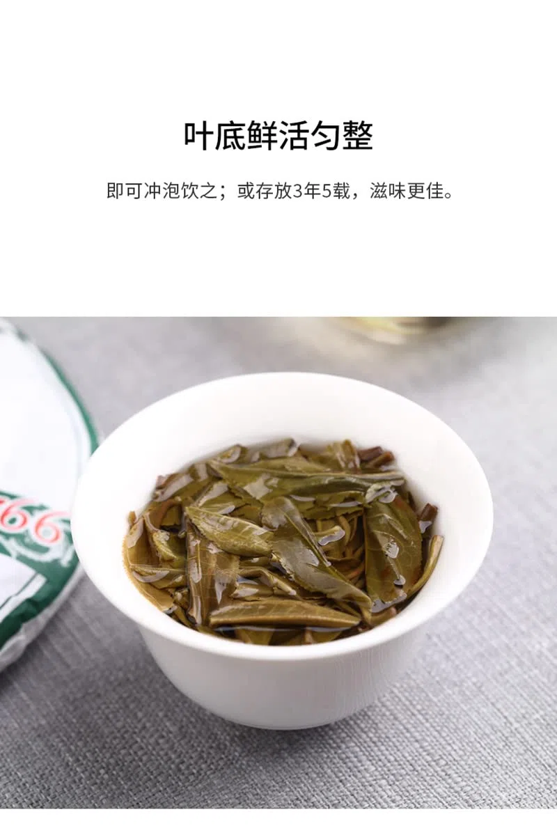 Old Comrade 2020 9948 Raw Pu-Erh Tea – 357g (12.6oz) Sheng Puerh Cake – Premium Chinese Tea