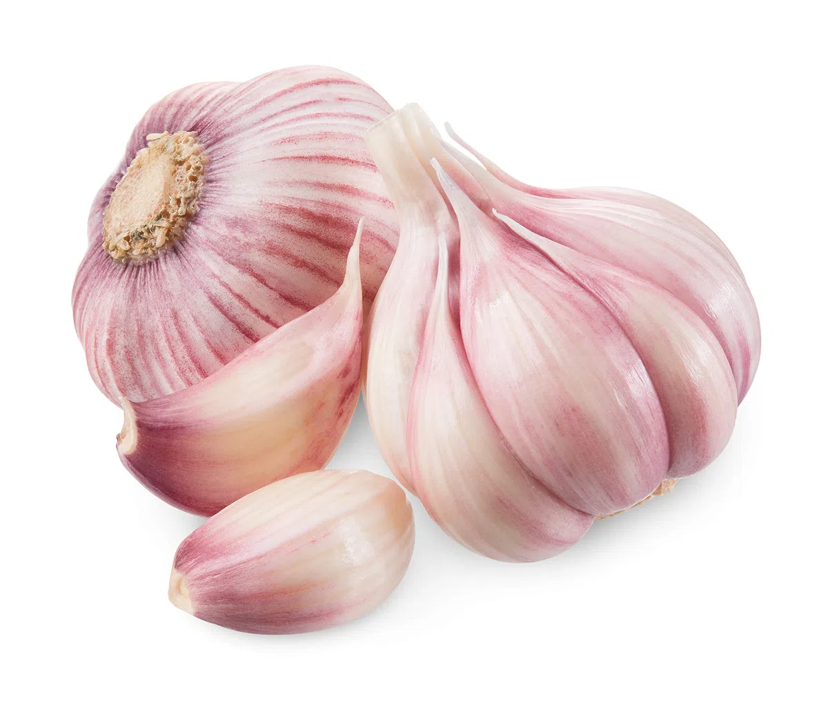 Hymor spanischer lila Knoblauch - 3kg - Ajo Morado aus Las Pedroñeras | besonders gesund | intensiv im Geschmack | gut bekömmlich | auch zum Pflanzen geeignet | als Würzmittel