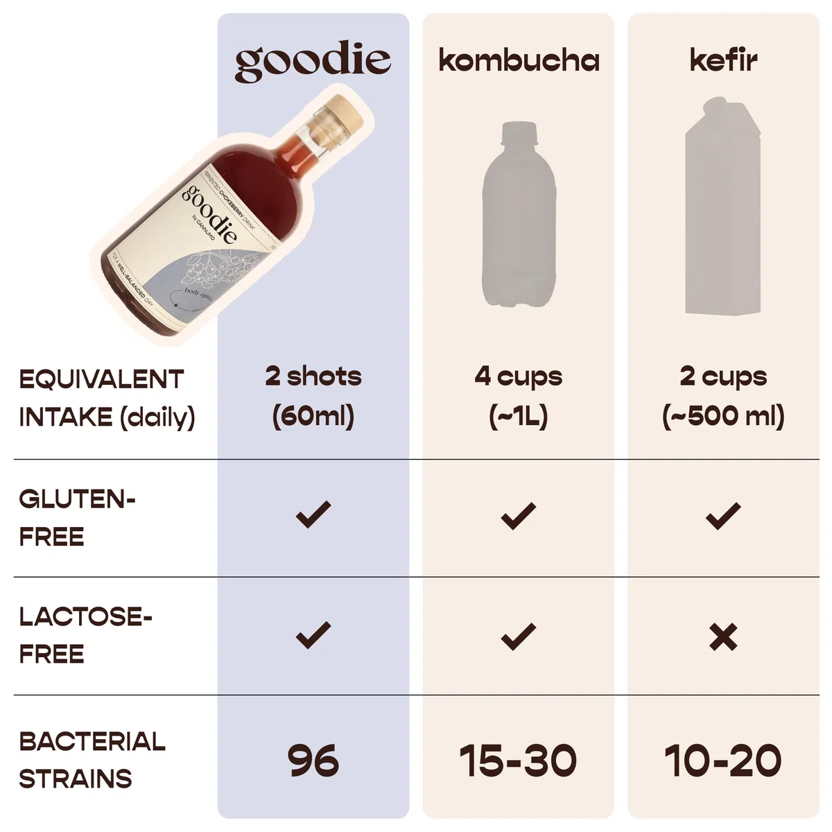 Goodie Fermented Superfood Drink - Probiotisches Wellnessgetränk, 500ml Flasche, Darmgesundheit, antioxidantienreich, vegan, natürliche Inhaltsstoffe, verschiedene Geschmacksrichtungen (500ml,