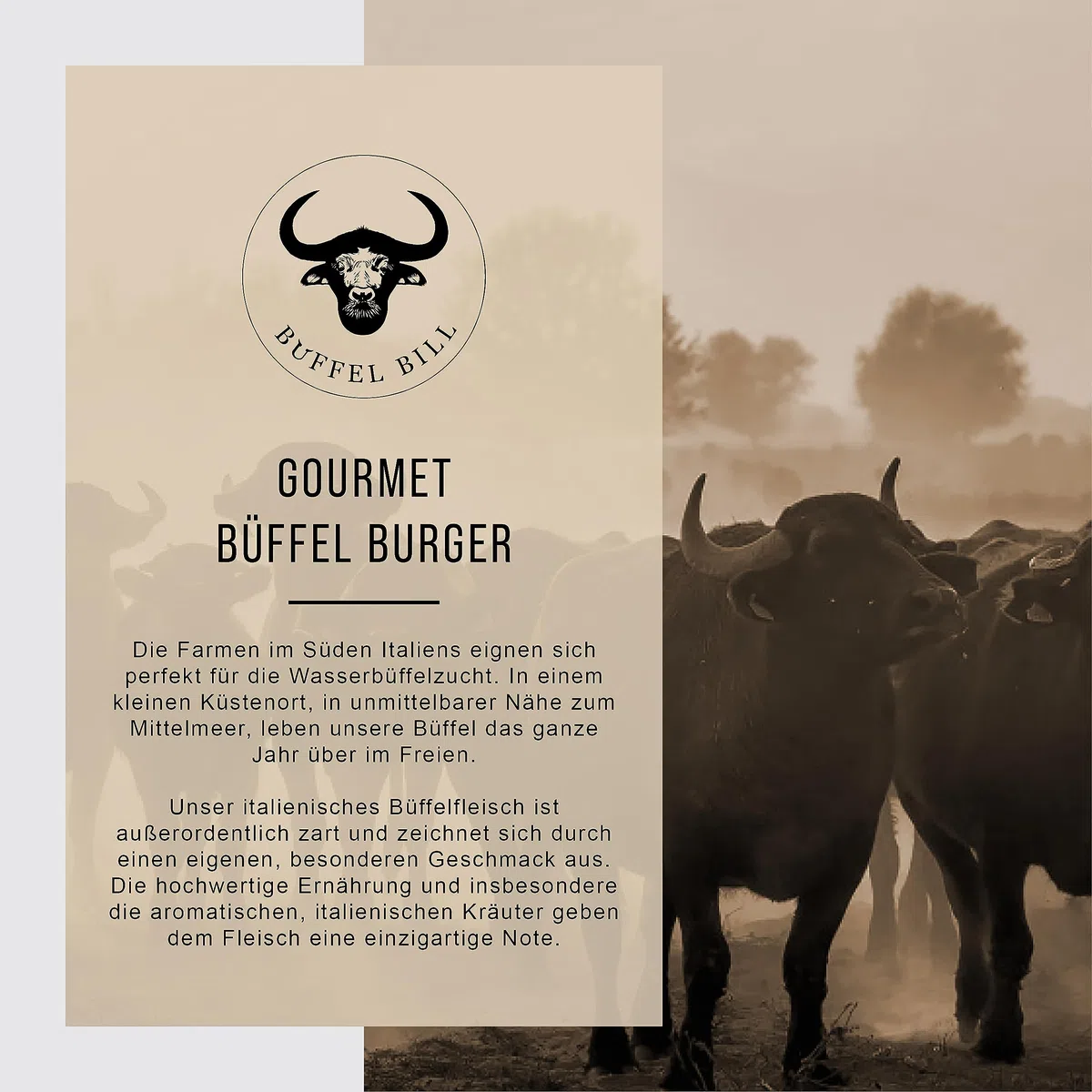 BÜFFEL BILL Gourmet Burger 6x180g Mageres Wasserbüffelfleisch Brisket Schulter