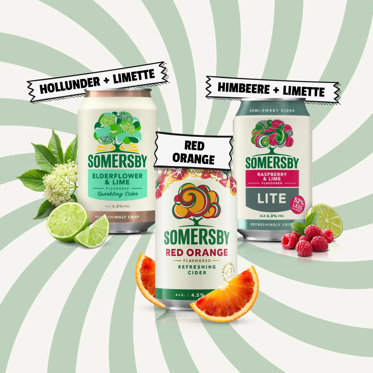 Somersby Cider Mix 6 Sorten 24 x 0,33 Liter Dosen 4,5% Vol. Fruit Cider Set