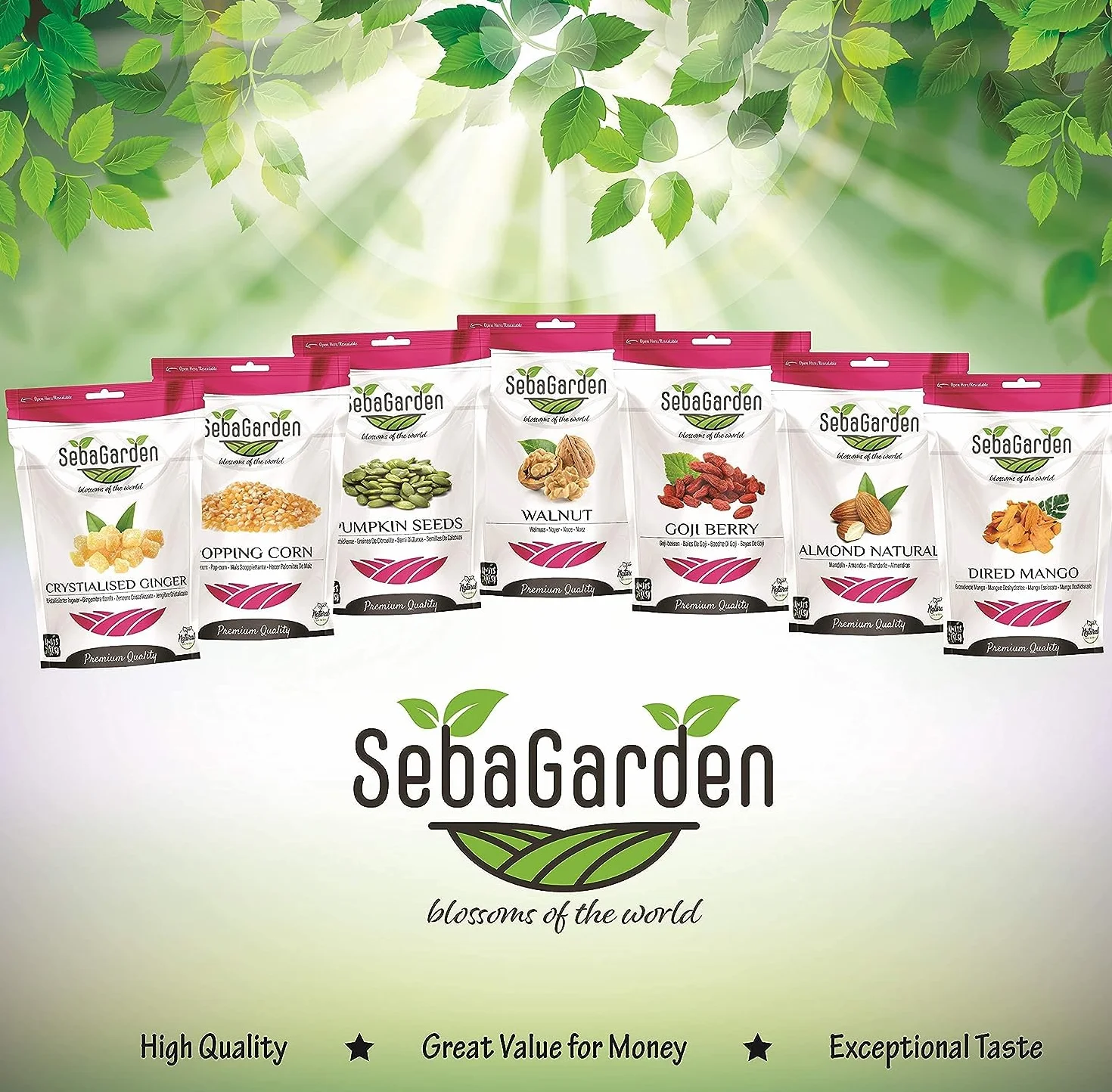 Seba Garden Kürbiskerne, 1000 g, Güteklasse AA, Rohproteinquelle, GWS (ohne Schale gewachsen), hoher Fasergehalt, Eisenquelle, gentechnikfrei (AA-Klasse)
