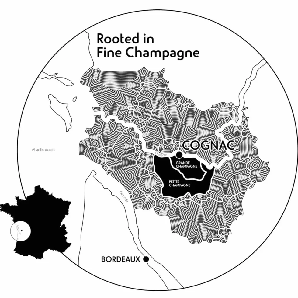 Rémy Martin VSOP Cognac 40% vol. 0,7l Fine Champagne Cognac