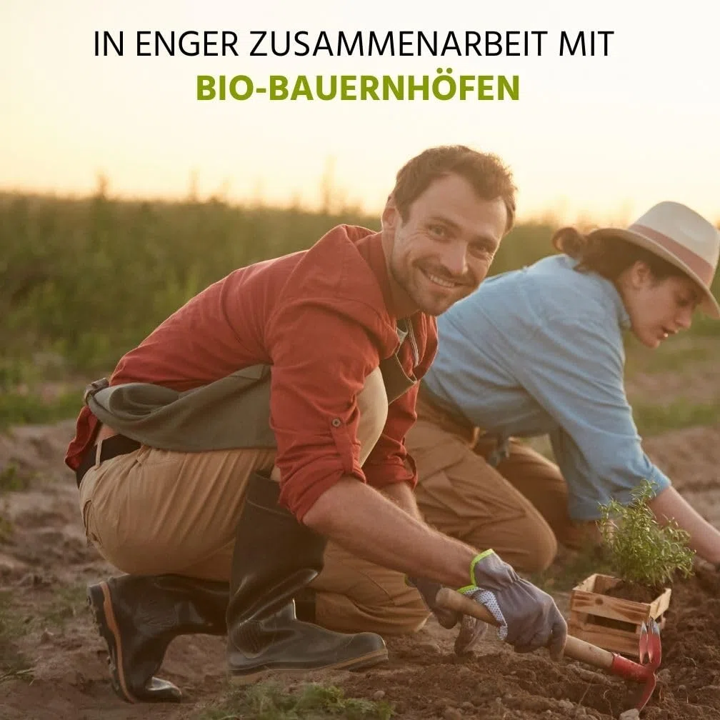 Auwald Koriander Tropfen BIO 100ml – Hochwertiger Auszug, Extrakt, Essenz & Tinktur – 100% BIO Landwirtschaft, Hergestellt in Österreich