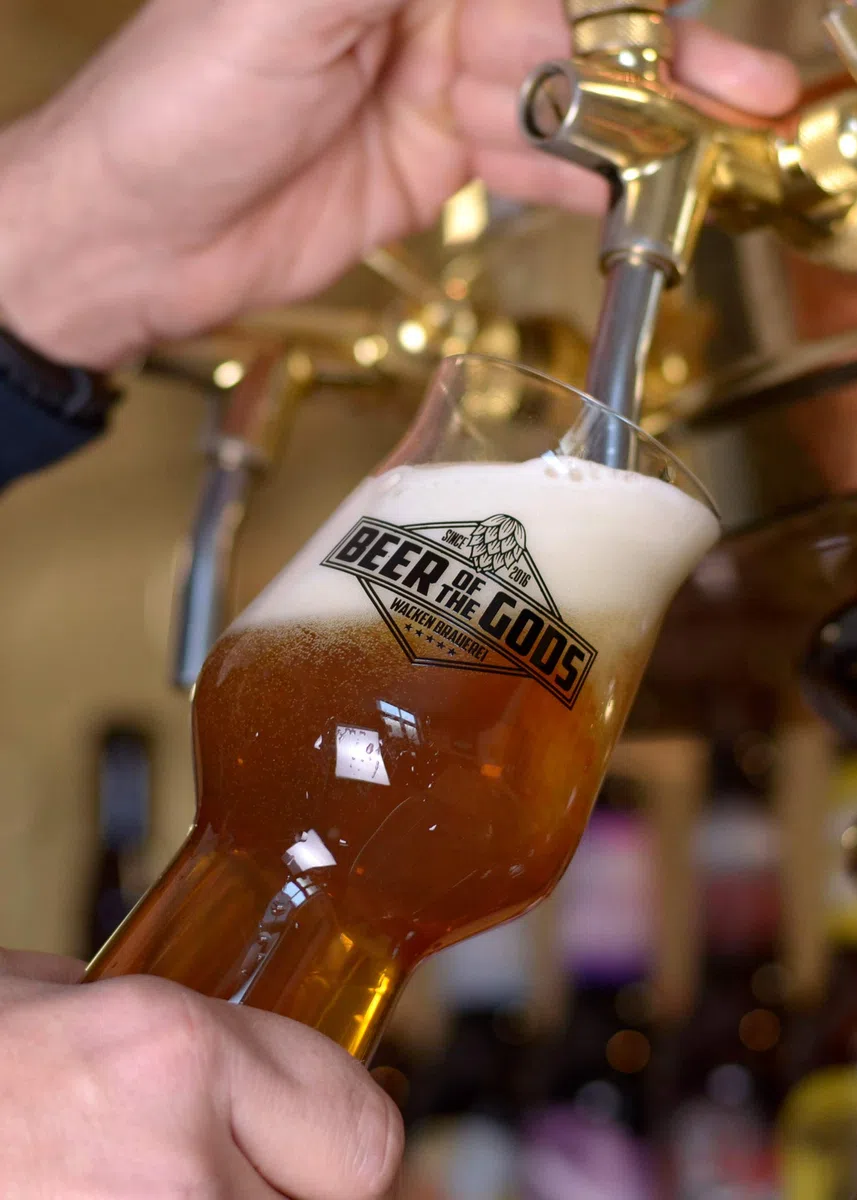 WACKEN BRAUEREI Craft Beer Box 20 x 0,33 l verschiedene Sorten Viking Craftbeer Set Geschenk für Männer
