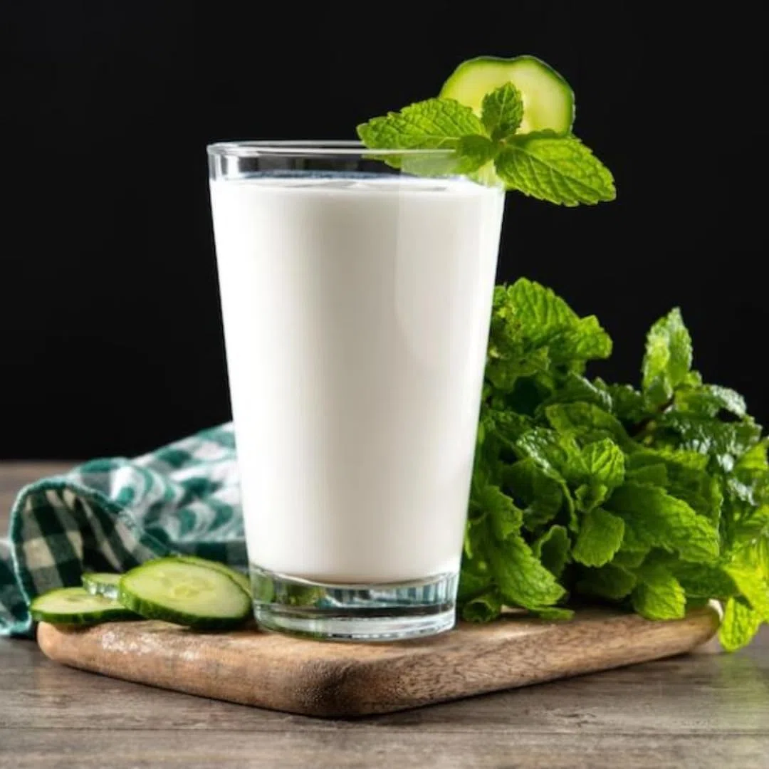 Haydi Ayran Türkisches Joghurtgetränk 250ml x 8er