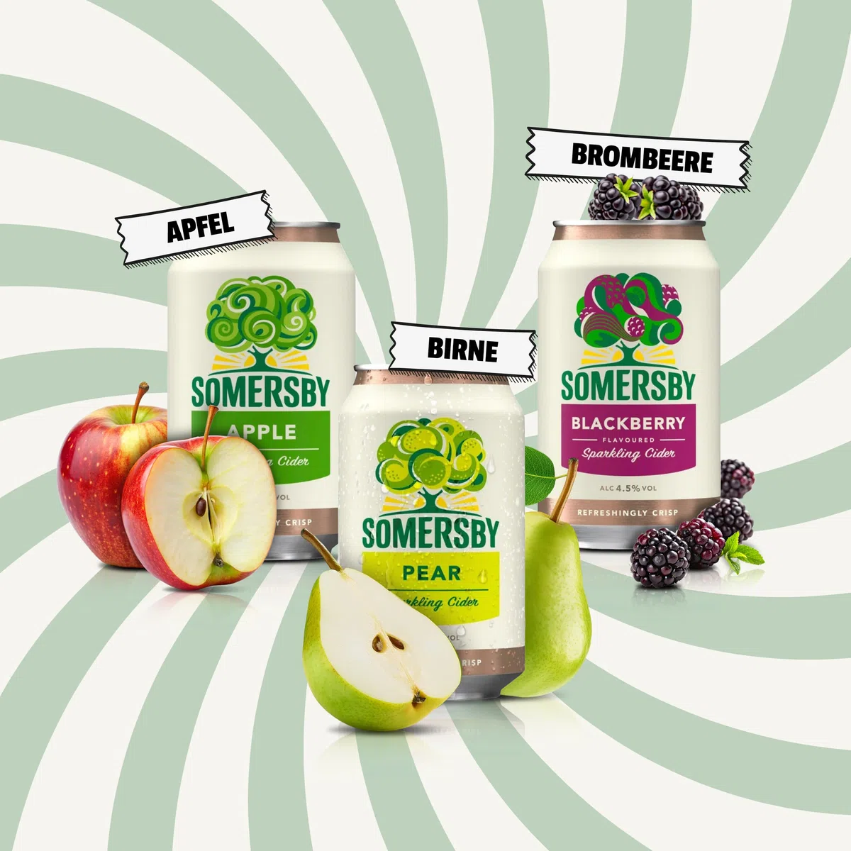 Somersby Cider Mix 6 Sorten 24 x 0,33 Liter Dosen 4,5% Vol. Fruit Cider Set