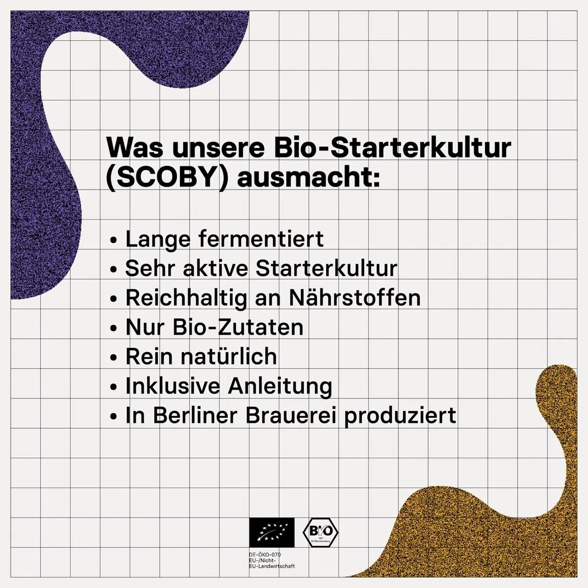 Kombucha Brewing Kit Bio, Kombucha Starter Set mit Bio-SCOBY Starterkultur und Kombucha Pilz, Gärgefäß, Bügelflasche, BioRohrohrzucker und Glasstrohhalm, handgefertigt, vegan, glutenfrei, laktosefrei