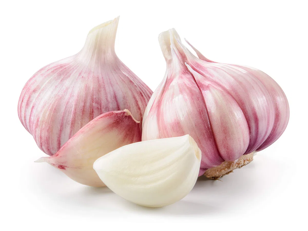 Hymor spanischer lila Knoblauch - 3kg - Ajo Morado aus Las Pedroñeras | besonders gesund | intensiv im Geschmack | gut bekömmlich | auch zum Pflanzen geeignet | als Würzmittel