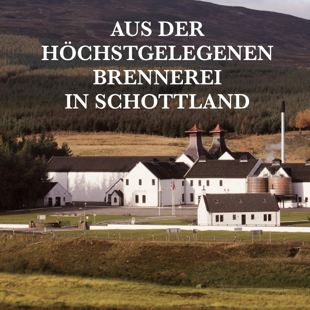 Dalwhinnie 15 Jahre Single Malt Scotch Whisky 43% vol 700 ml mit Geschenkverpackung