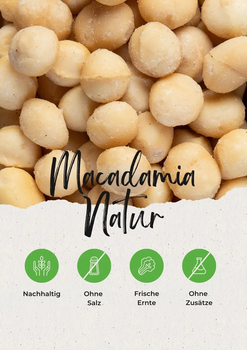 Vitalesia Macadamia Nüsse 500g | Premium Qualität aus Südafrika | roh, ungeröstet & ungesalzen | ohne Zusätze | Macadamianüsse naturbelassen 100 % | vegan
