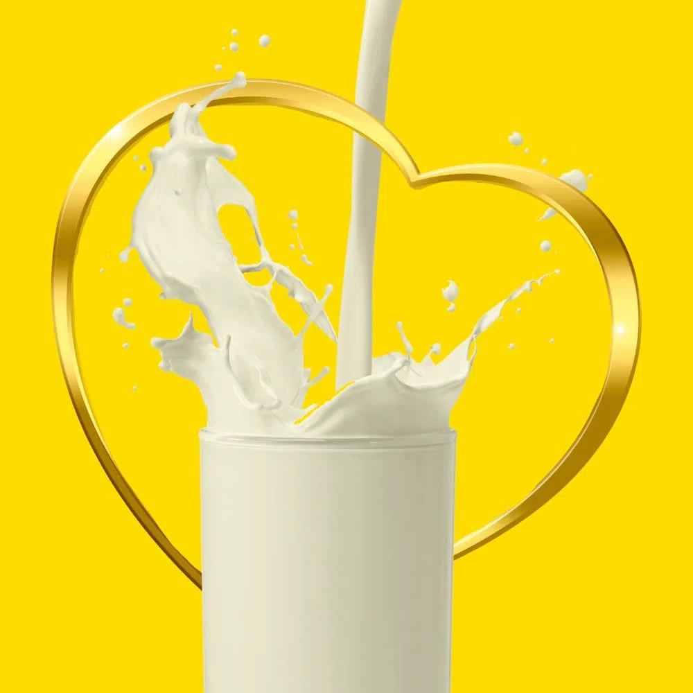 NIDO - Milchpulver - (1 X 2500 GR)