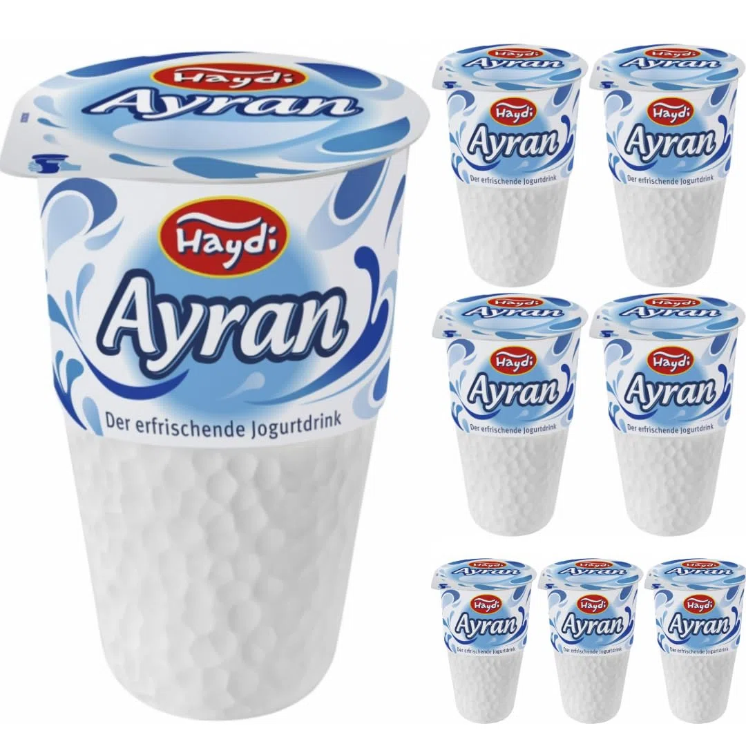 Haydi Ayran Türkisches Joghurtgetränk 250ml x 8er